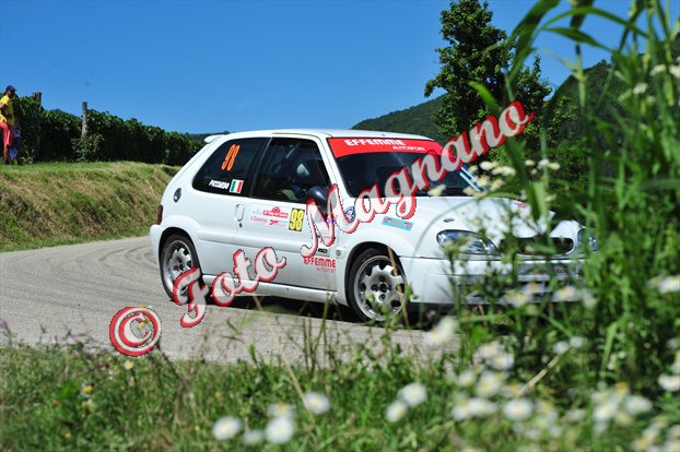 DSC_4437.jpg